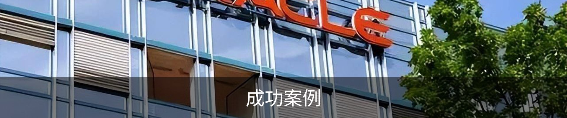 成功案例